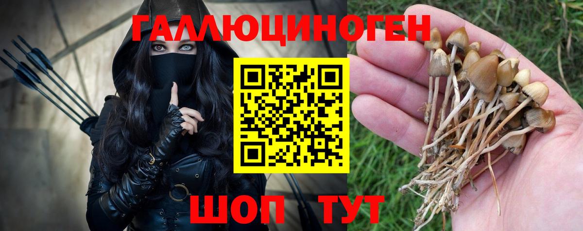Галлюциногенные грибы ЛСД Кушва